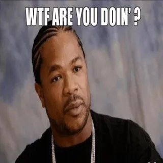 😶 Xzibit WTF ARE YOU DOIN' ? xzibit, wtf, meme, lucu, rapper 90an telegram sticker