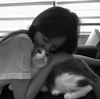 ⚓️ 猫, 女性, ペット, 動物, 愛, ペット whatsapp sticker