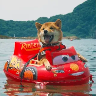 🏎 Lightning McQueen Cars Rust-eze Hund, Shiba Inu, Autos, Lightning McQueen, Disney, Pixar, Tier telegram sticker