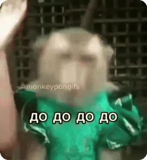 🌟 ДО ДО ДО ДО ДО scimmia, meme, divertente, animale whatsapp sticker