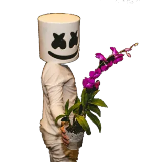 🌹 Marshmello Marshmello, DJ, music, mask, flower, plant telegram sticker
