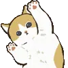🐾