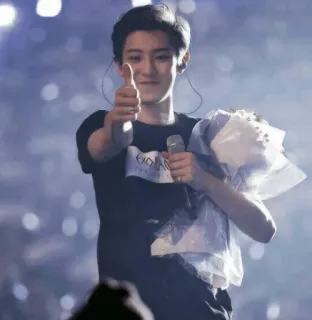 👍 EXO kpop, exo, chanteur, performance, divertissement, idole telegram sticker