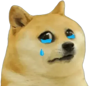 🥲 doge doge, mem, płacz, smutny, pies, zwierzę telegram sticker
