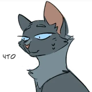😅 что 猫, 俄语, 什么, 动物, 表情包 telegram sticker