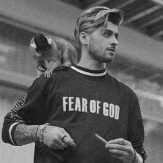 🎶 FEAR OF GOD fear of god, 셔츠, 남자, 원숭이 telegram sticker