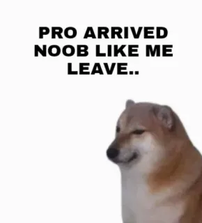 😔 PRO ARRIVED NOOB LIKE ME LEAVE.. 밈, Doge, Cheems, 뉴비, 프로, 게임 telegram sticker