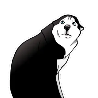 😨 chó, husky, động vật, thú cưng telegram sticker