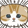 🐱
