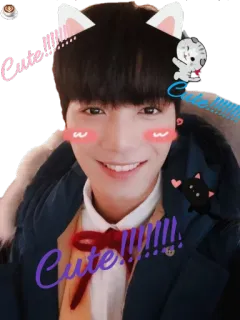🐱 Cute!!!!!! mignon, sourire, filtre, oreilles de chat, kawaii telegram sticker