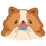 😛 hond, huisdier, schattig, dier, handen, kawaii telegram sticker