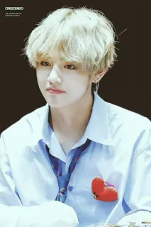 💵 V BTS, K-pop, singer, idol, Korean, V, Kim Tae-hyung telegram sticker