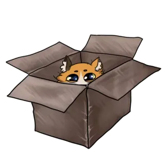 👀 mèo, hộp, mèo con, động vật, dễ thương telegram sticker