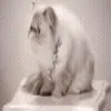 😕