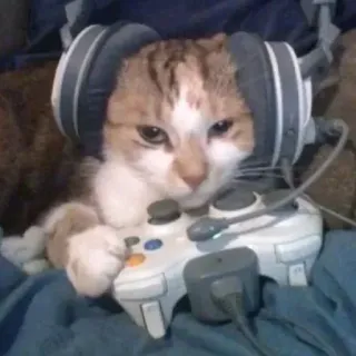🌟 cat, gaming, headphones, controller, pet, animal telegram sticker