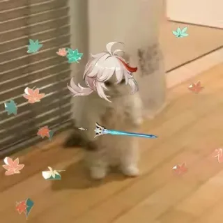 🚀 Kazuha Genshin Impact Anime, Katze, Schwert, Ahornblätter, Spiel telegram sticker