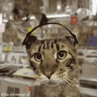 🎧 b3ta.hnldesign.nl Katze, Kopfhörer, Musik, Luchs, Tier telegram sticker