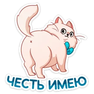 👋 ЧЕСТЬ ИМЕЮ кот, русский текст, животное, стикер, бант telegram sticker