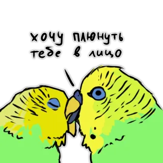 ❤️ хочу плюнуть тебе в лицо Papagei, Vogel, Cartoon, Lustig, Russisch, Beleidigung, Unverschämt whatsapp sticker