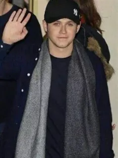 👋 Niall Horan Niall Horan, celebridad, cantante, gorra de béisbol, bufanda telegram sticker