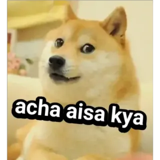 🙂 acha aisa kya doge, meme, chó, acha aisa kya, tiếng Hindi telegram sticker