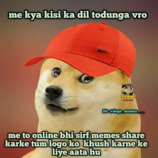 🧡 Doge me kya kisi ka dil todunga vro
me to online bhi sirf memes share
karke tum logo ko khush karne ke
liye aata hu 多吉, 表情包, 狗, 网络迷因, 搞笑, 幽默 telegram sticker