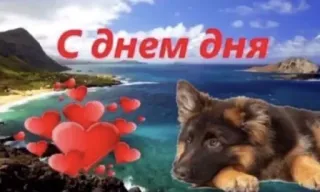 🏞 С днем дня hearts, dog, beach, celebration, greeting telegram sticker