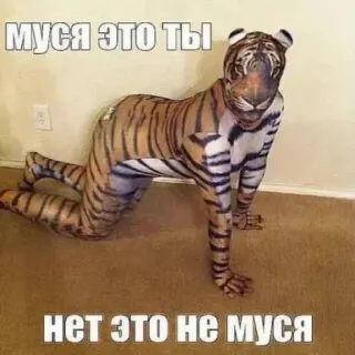 Больше стиков тут: @stikery4 telegram stickers