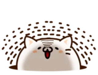 🐱 кот, животное, милый, белый кот, анимированный telegram sticker