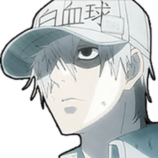 🩸 白血球 Anime, Personnage, Les Brigades Immunitaires, Globule Blanc, Chapeau, Animation, Japonais telegram sticker