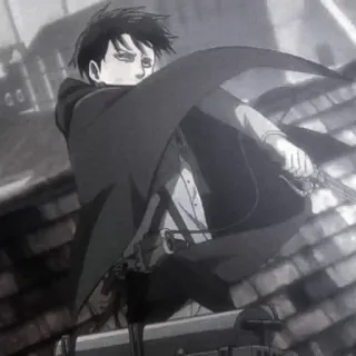 🛹 Levi Ackerman Attack on Titan anime, sword, manga, levi, attack on titan, character telegram sticker