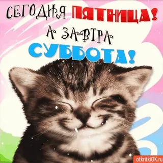 5️⃣ СЕГОДНЯ ПЯТНИЦА! А ЗАВТРА СУББОТА! whatsapp sticker