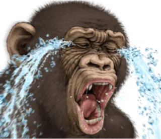 🐵 kera, menangis, sedih, air mata, binatang, gorila, emosi telegram sticker