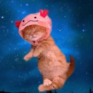 Больше стиков тут: @stikery4 whatsapp stickers