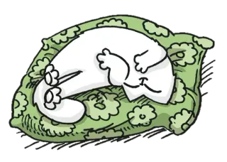 💤 cat, sleeping, pillow, lazy, white cat whatsapp sticker