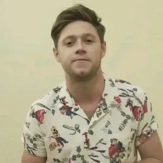 😑 Niall Horan niall horan, one direction, singer, celebrity, portrait, man telegram sticker