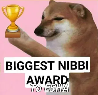 🙂 BIGGEST NIBBI AWARD TO ESHA award, dog, meme, trophy telegram sticker