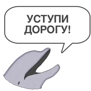 🛤 УСТУПИ ДОРОГУ! delfín, bocadillo, ruso, ceda el paso, carretera, animal whatsapp sticker