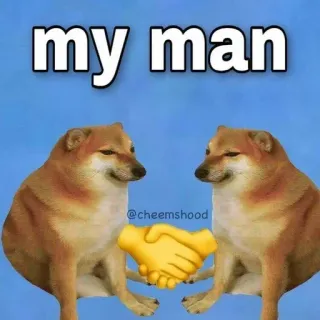 🌟 my man doge, meme, dog, handshake, cheems telegram sticker