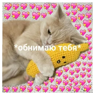 🤗 *обнимаю тебя* 猫, バナナ, ハート, かわいい, ロシア, ハグ telegram sticker