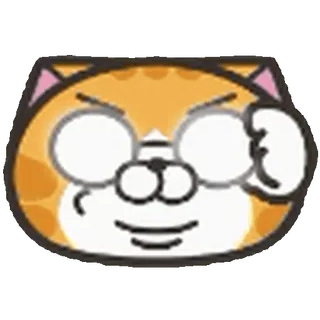 👓