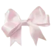 🎀