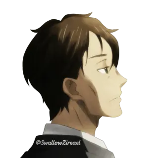 👤 @SwallowZireael anime, nhãn dán, khuôn mặt, hồ sơ telegram sticker