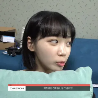 🐯 Chaewon 저희 앨범 진짜 잘 나을 것 같아요! telegram sticker