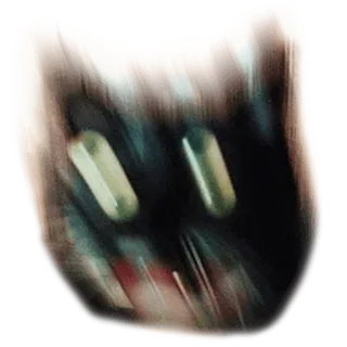 😡 cat, animal, sticker, blurred, face telegram sticker