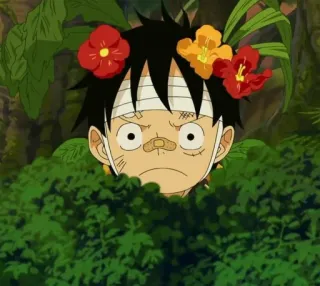 🌊 Monkey D. Luffy One Piece Anime, Blumen, Charakter, Manga, Junge telegram sticker