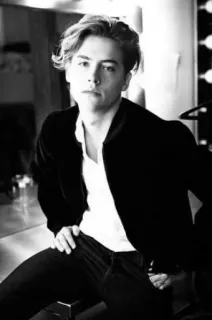 👊 Dylan Sprouse Schauspieler, Porträt, Schwarzweiß, Promi, Model, Mann, Person whatsapp sticker