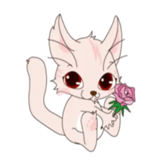 🌹 gato, lindo, animal, rosa, rosa, kawaii whatsapp sticker