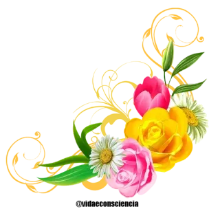 🌹 Blumen, Blumenmuster, Rose, Gänseblümchen, Tulpe, Strauß, Natur whatsapp sticker