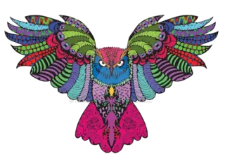 🦉 owl, bird, colorful, animal, sticker, decoration telegram sticker